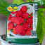 Peperone Piccante Carolina Reaper