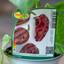 Peperone Piccante Habanero Chocolate