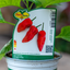 Peperone Piccante Naga Morich