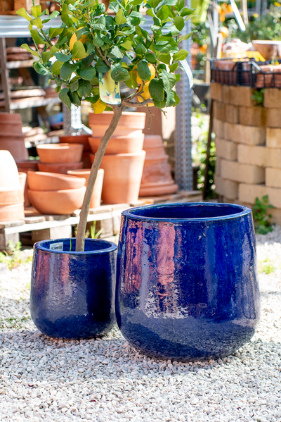 Vaso Nha Trang Falling Blue