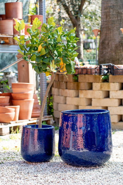 Vaso Nha Trang Falling Blue
