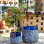 Vaso Waves Nha Trang Blue
