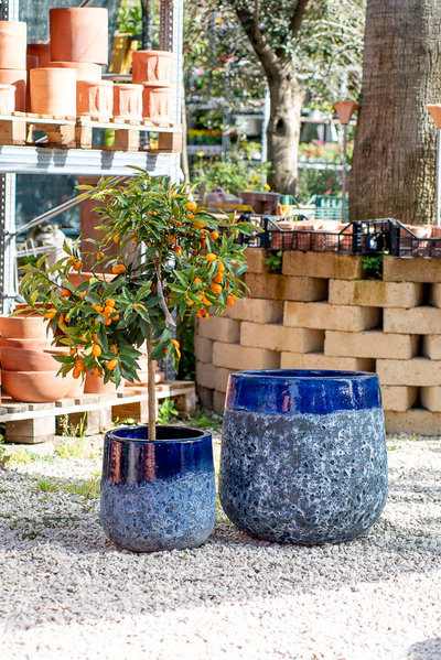 Vaso Waves Nha Trang Blue