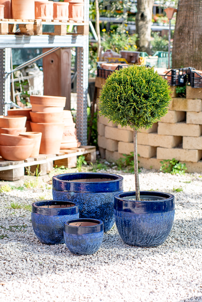 Vaso Waves Hanoi Blue