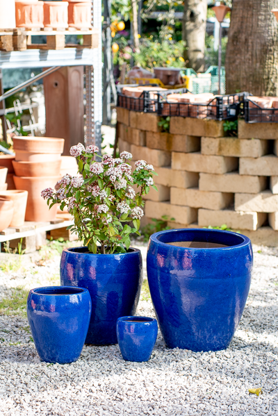 Vaso Hue Falling Blue