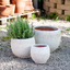 Vaso Nang Atlantis White