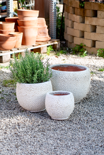 Vaso Nang Atlantis White