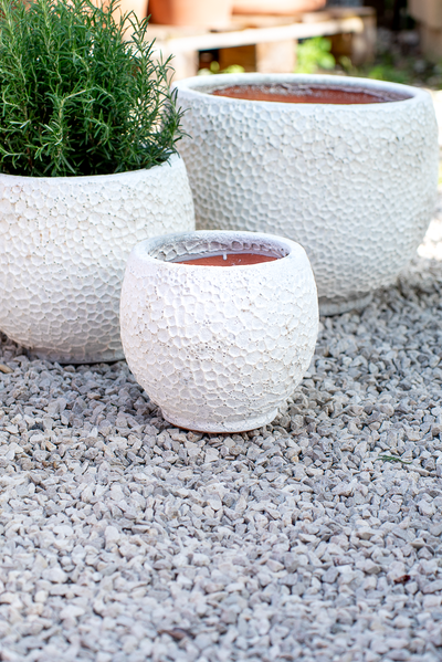 Vaso Nang Atlantis White
