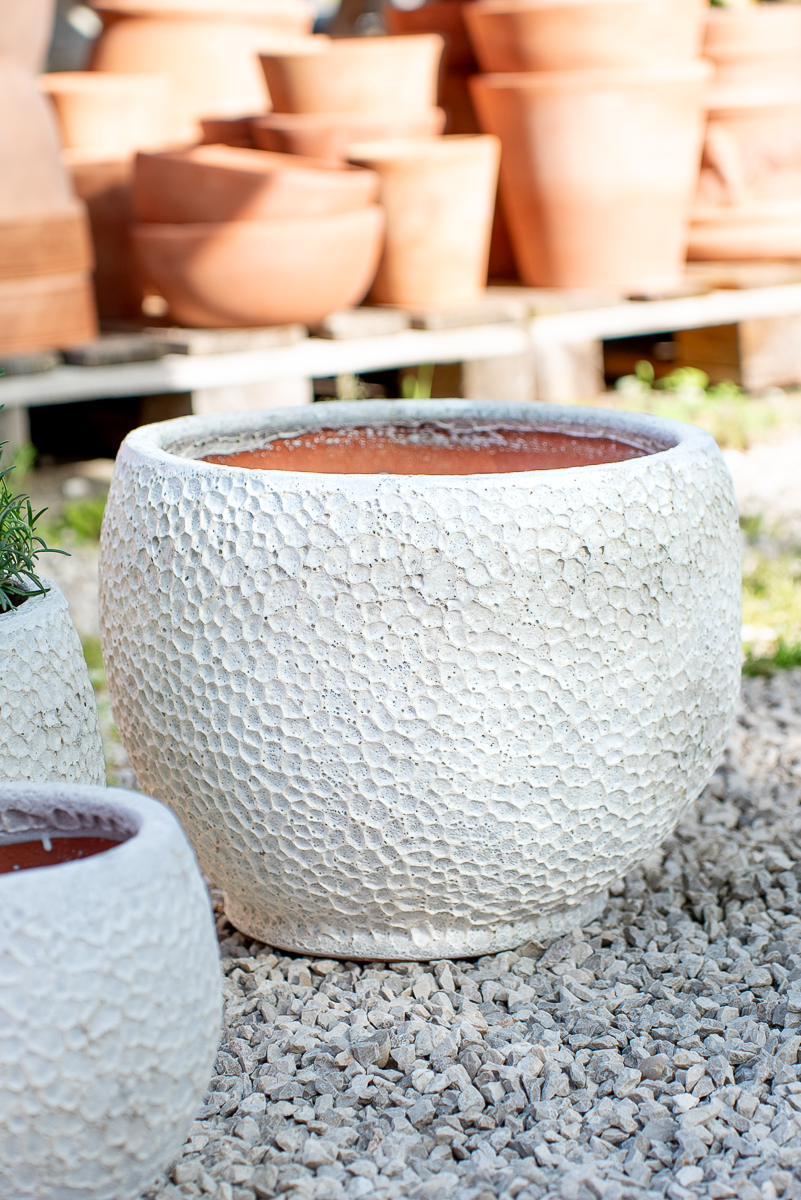 Vaso Nang Atlantis White