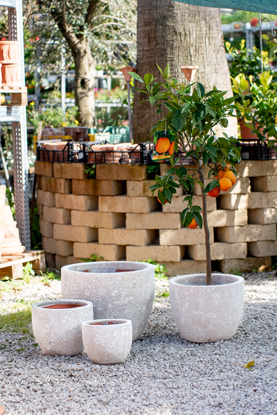 Vaso Hanoi Atlantis White