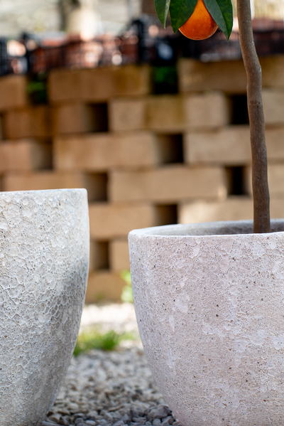 Vaso Hanoi Atlantis White