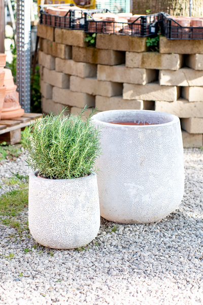 Vaso Nha Trang Atlantis White
