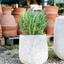 Vaso Nha Trang Atlantis White