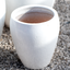Vaso Hue Antique White