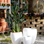 Vaso Hue Antique White