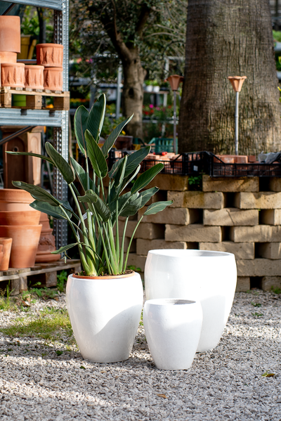 Vaso Hue Antique White