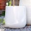 Vaso Nha Trang Falling White