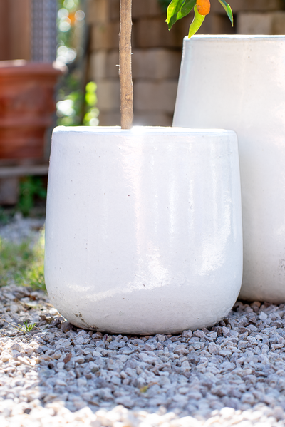 Vaso Nha Trang Falling White