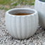 Cachepot Virgo Antique White