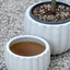 Cachepot Virgo Antique White