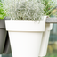 Vaso be up doppio 25cm