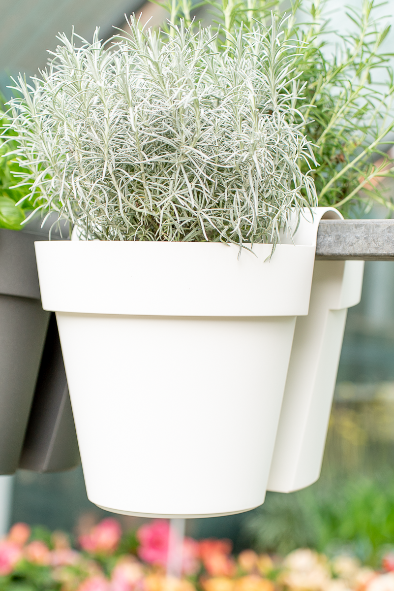 Vaso be up doppio 25cm