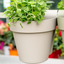 Vaso be up doppio 25cm