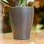 Coprivaso Orchidea Ceramica Moderno