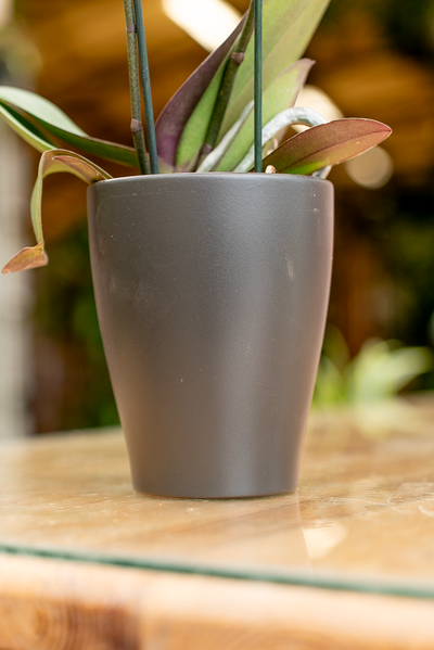 Coprivaso Orchidea Ceramica Moderno