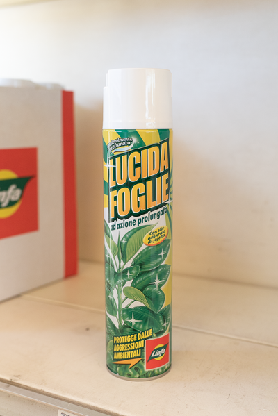 Lucidafoglie Spray ML 600
