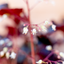Heuchera