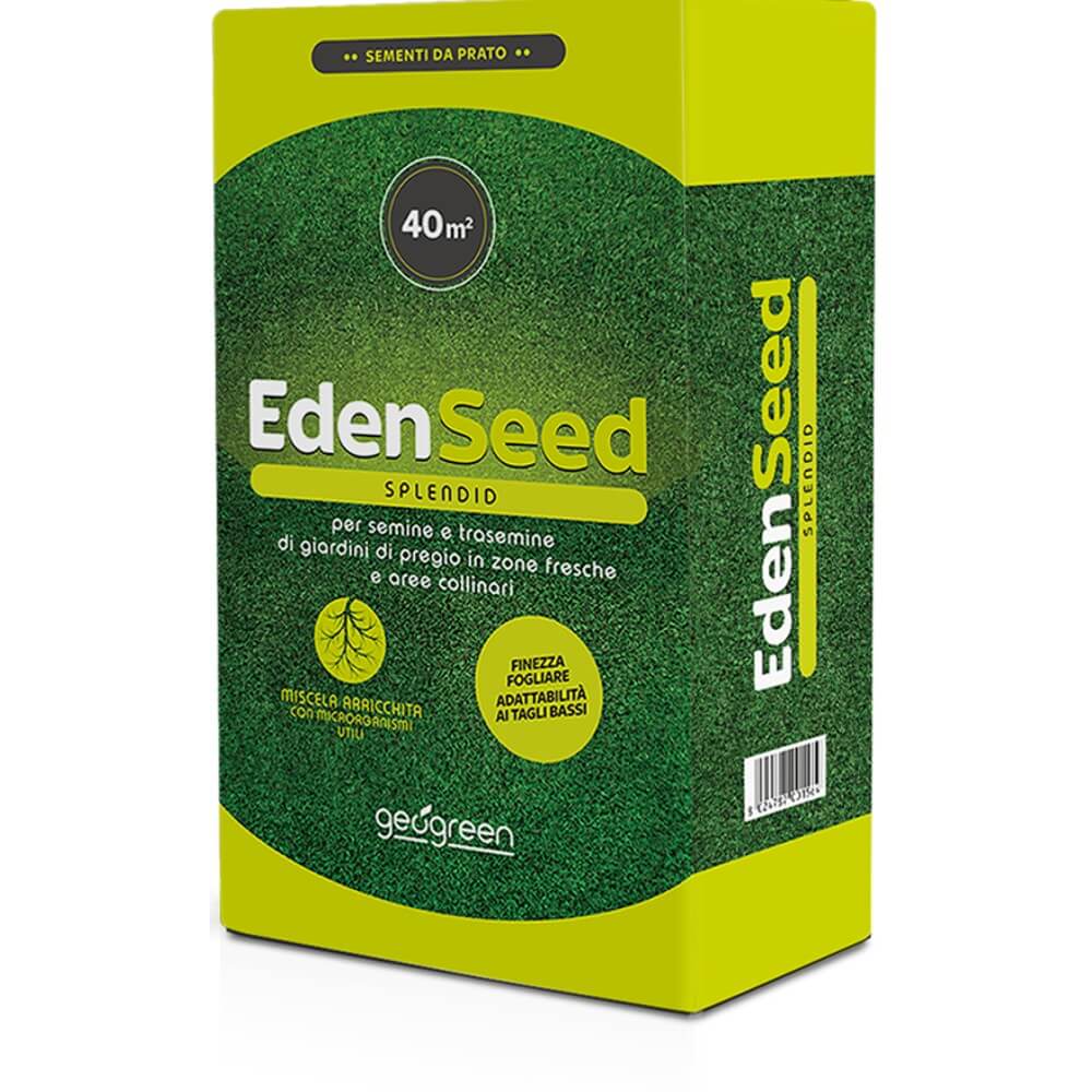 EDEN SEED - SPLENDID