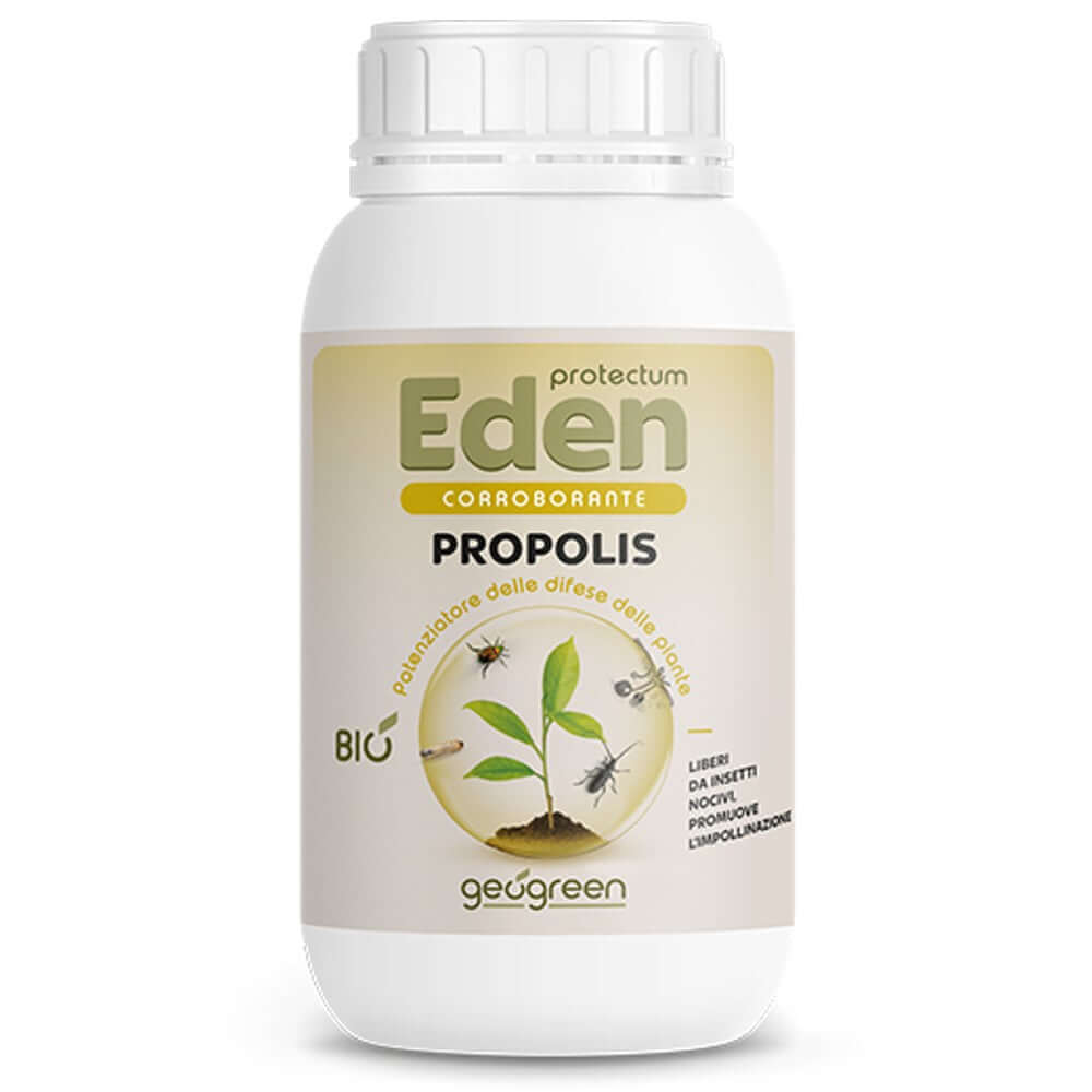 PROPOLIS