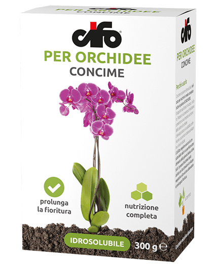 Concime idrosolubile per orchidee