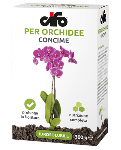 Concime idrosolubile per orchidee