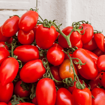 Pomodoro San Marzano