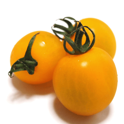 Pomodoro ciliegino giallo