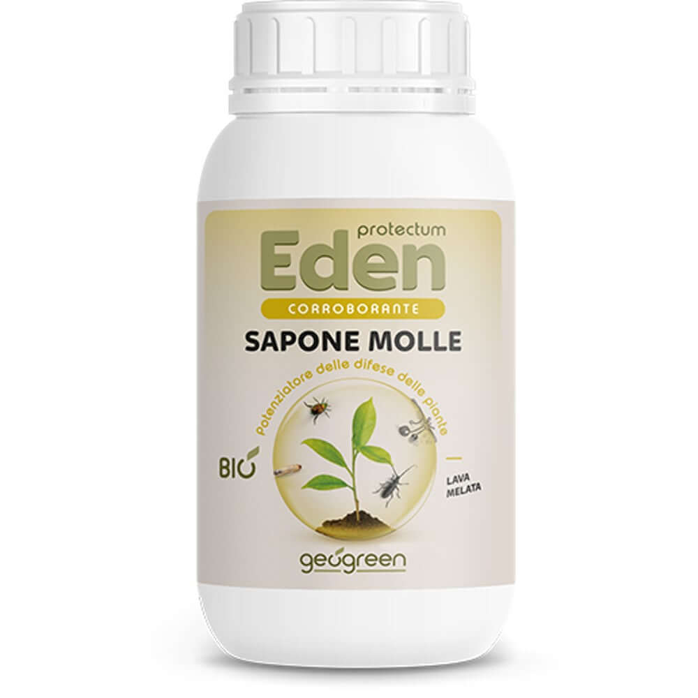 SAPONE MOLLE