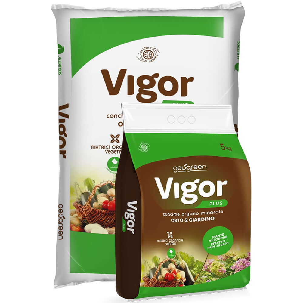 VIGOR PLUS