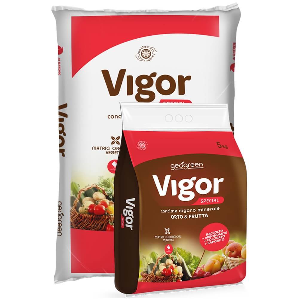 VIGOR SPECIAL