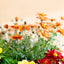 Bidens