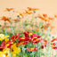 Bidens