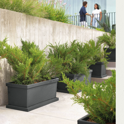 Fioriera Rettangolare Millerighe