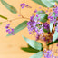 Hardenbergia